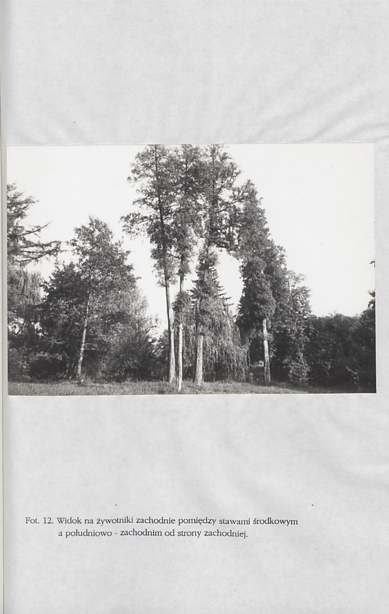 Ewidencja parkowa, skan nr 61