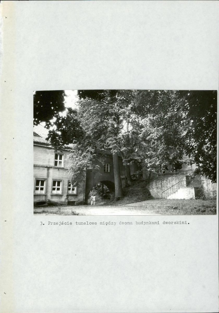 Ewidencja parkowa, skan nr 50