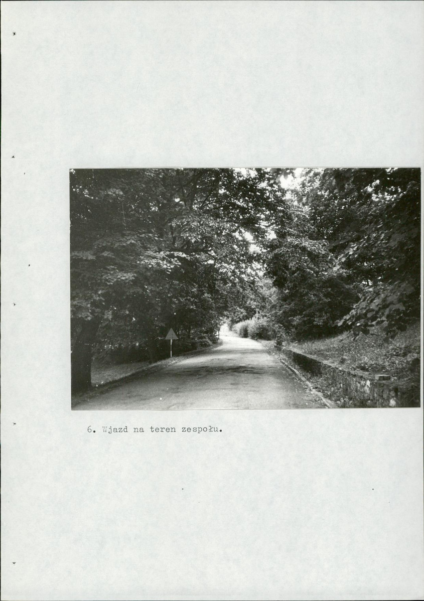 Ewidencja parkowa, skan nr 53