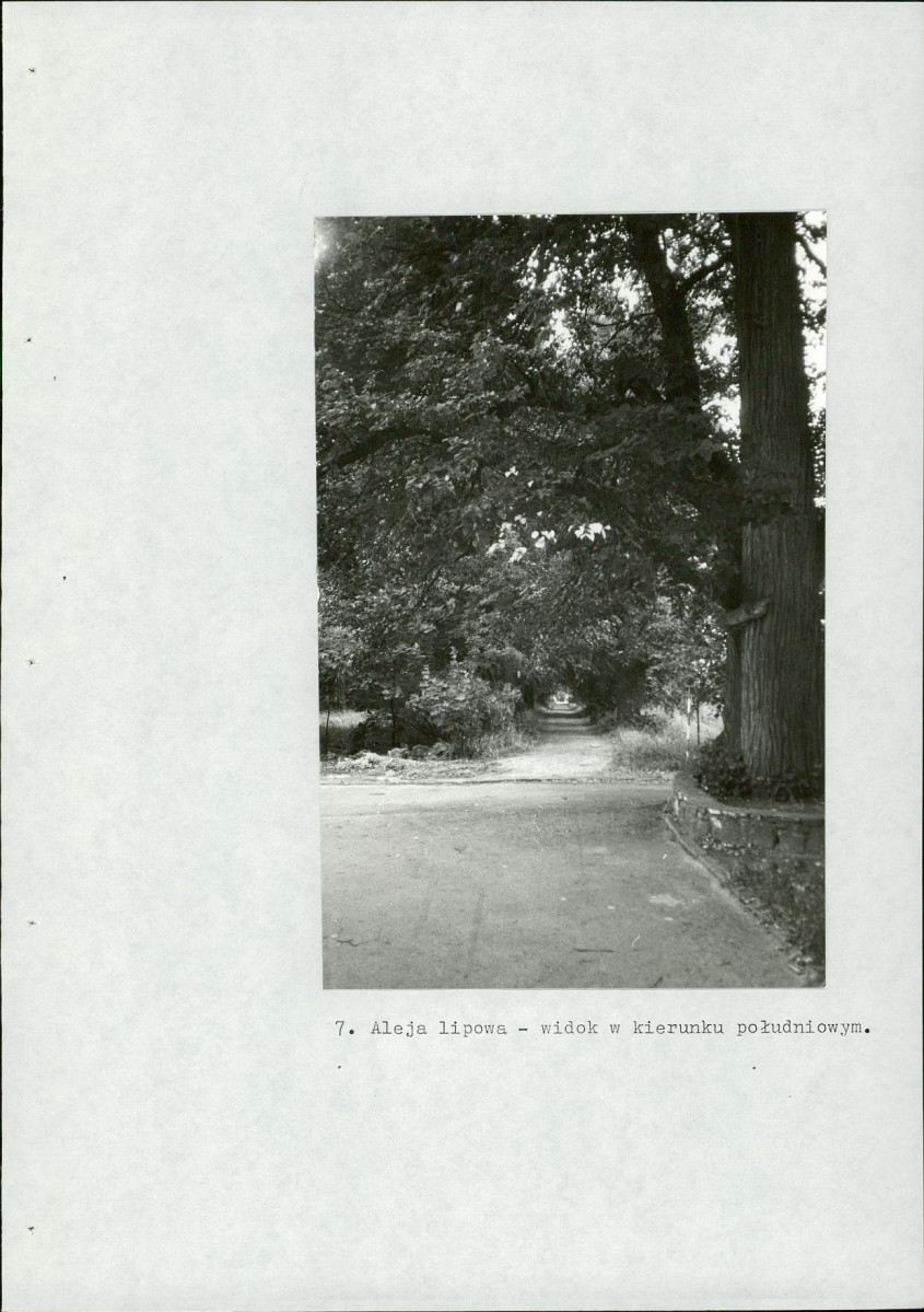 Ewidencja parkowa, skan nr 54
