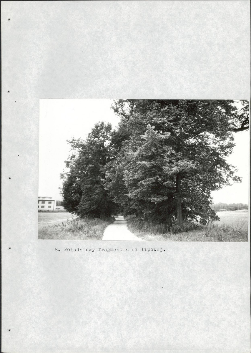Ewidencja parkowa, skan nr 55