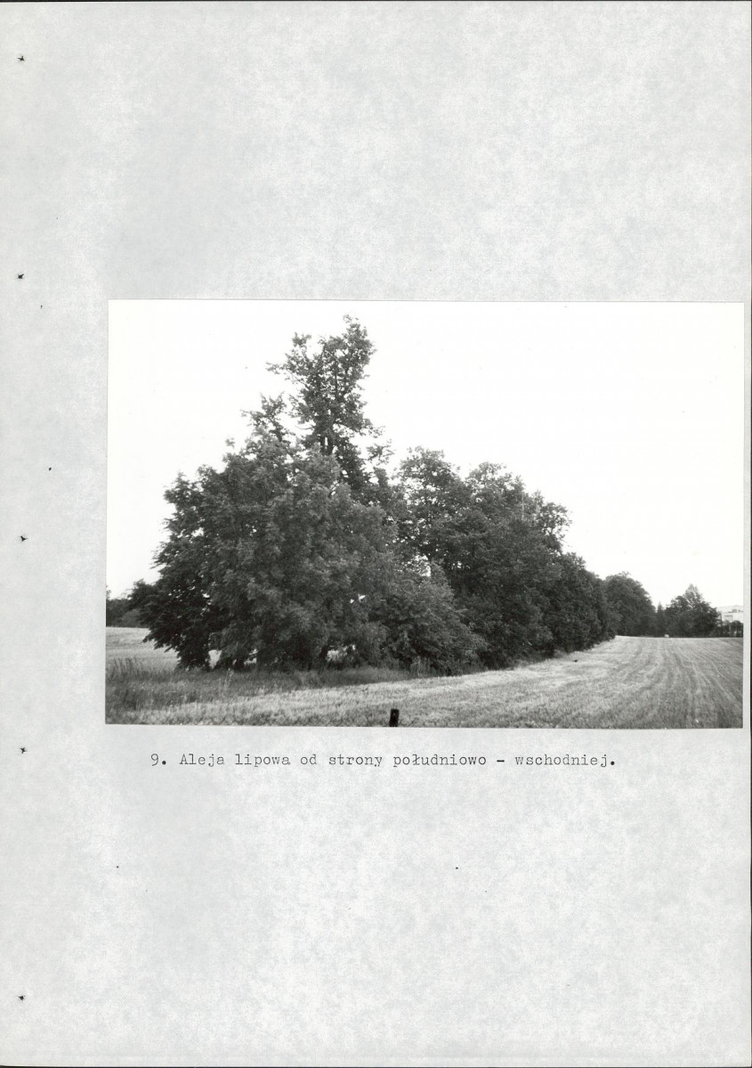 Ewidencja parkowa, skan nr 56