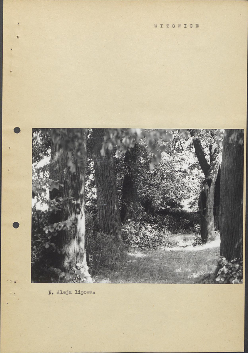 Ewidencja parkowa, skan nr 14