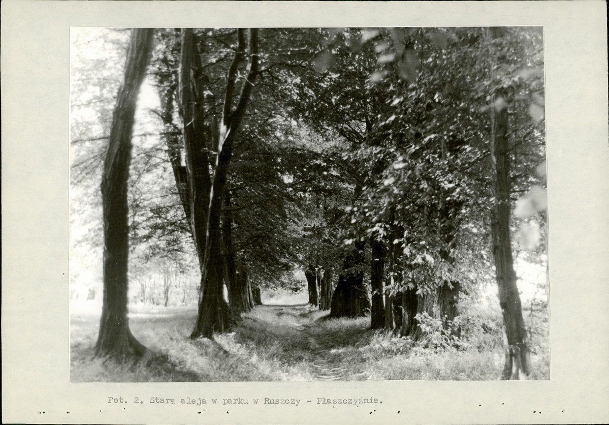 Ewidencja parkowa, skan nr 17