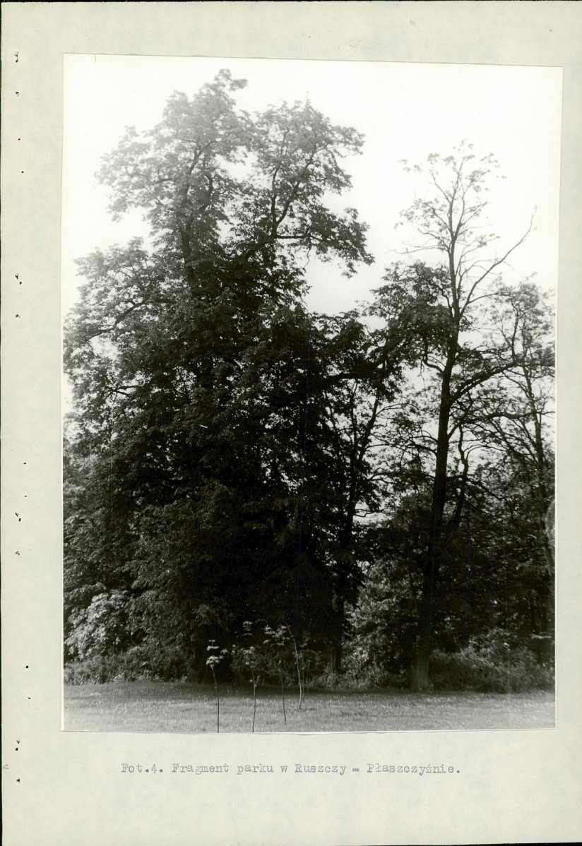Ewidencja parkowa, skan nr 19