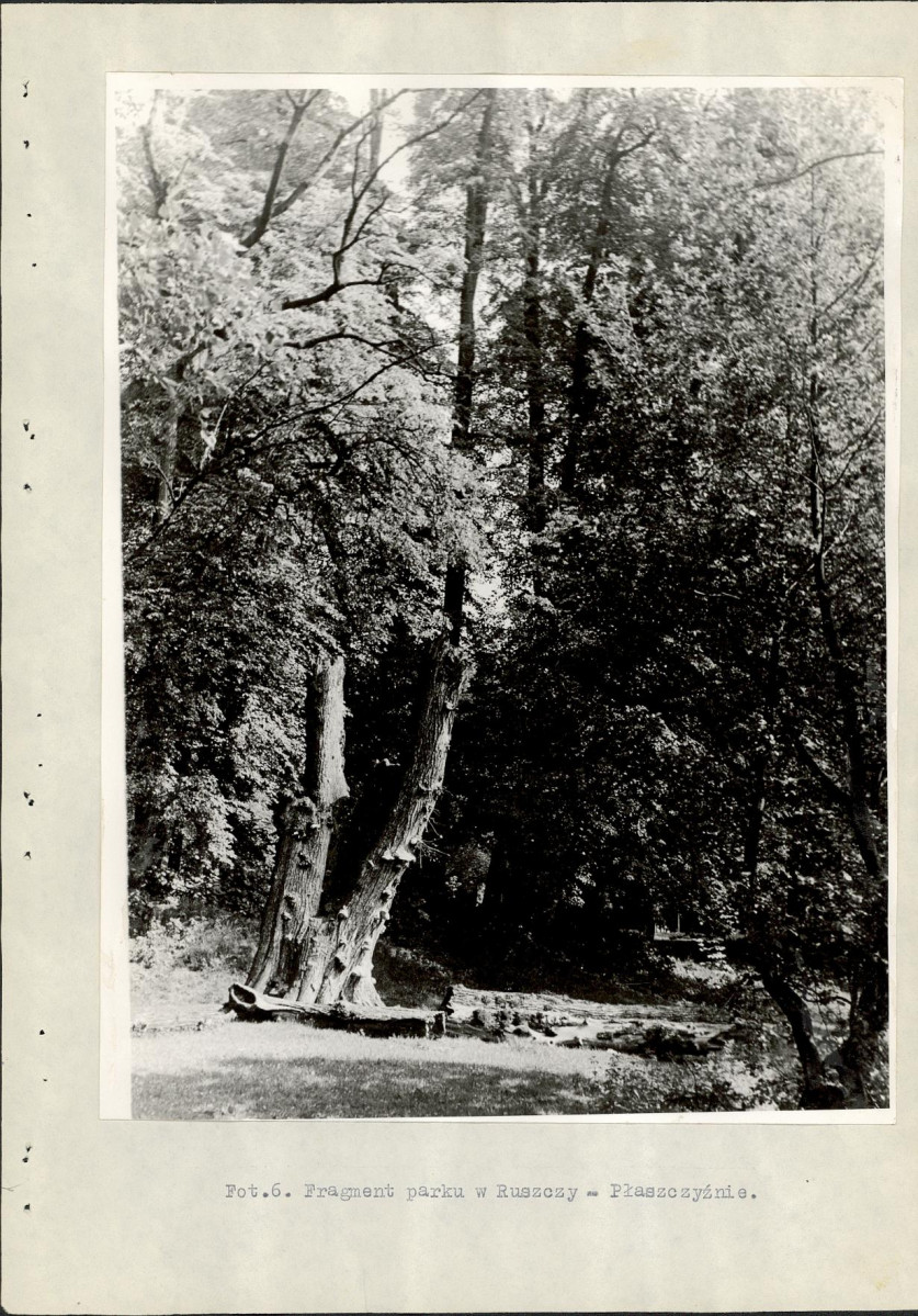 Ewidencja parkowa, skan nr 21