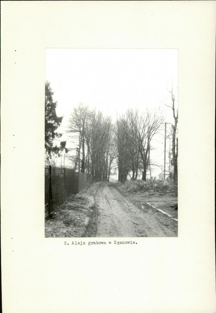 Ewidencja parkowa, skan nr 9