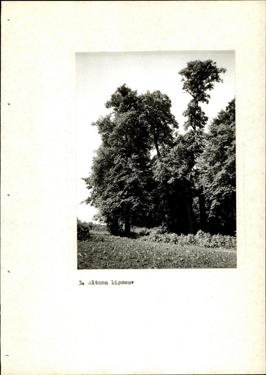 EP - Ewidencja parkowa, skan nr 50