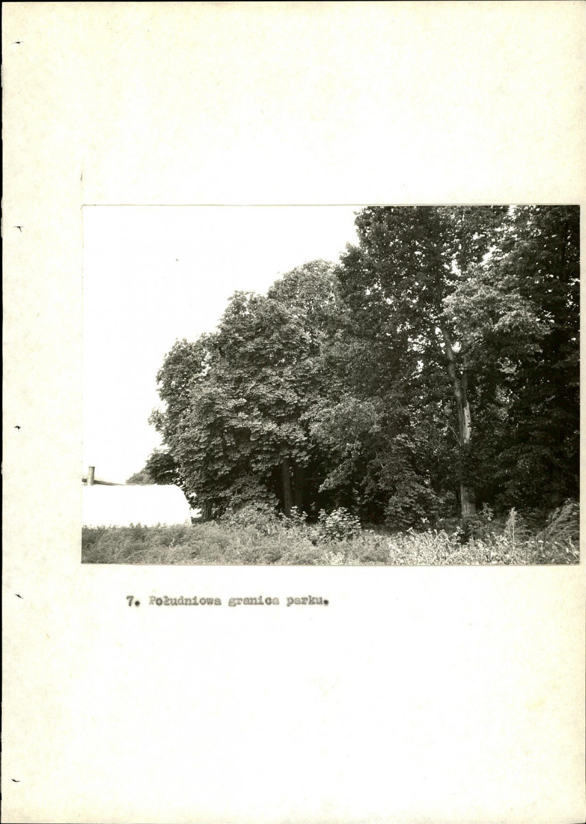 EP - Ewidencja parkowa, skan nr 54