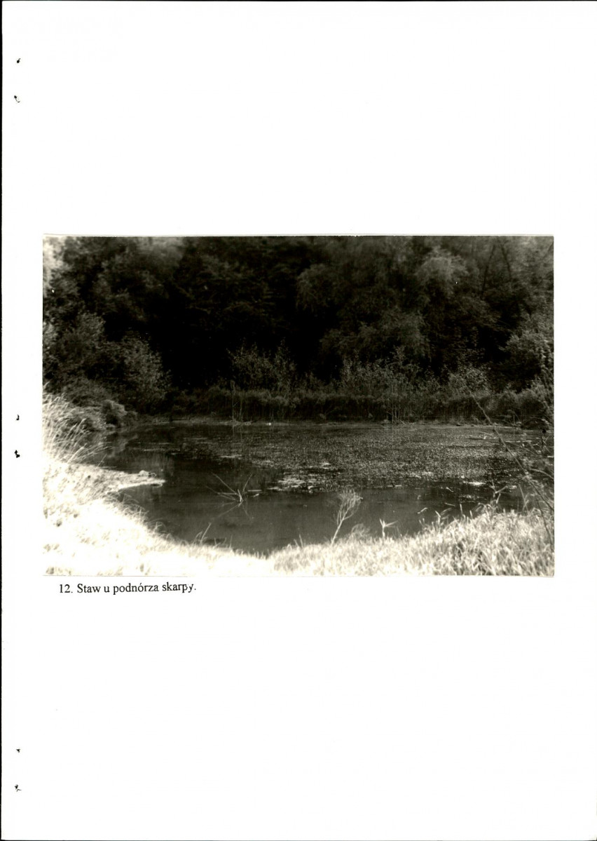 EP - Ewidencja parkowa, skan nr 53