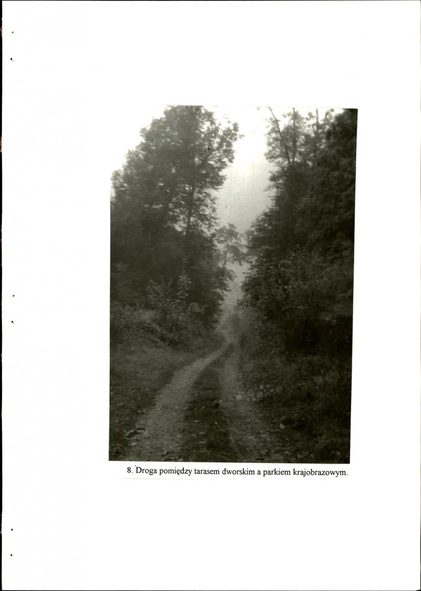 Ewidencja parkowa, skan nr 52