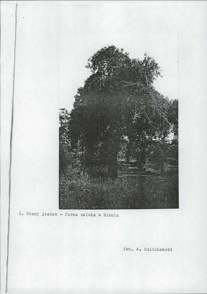 Ewidencja parkowa, skan nr 9