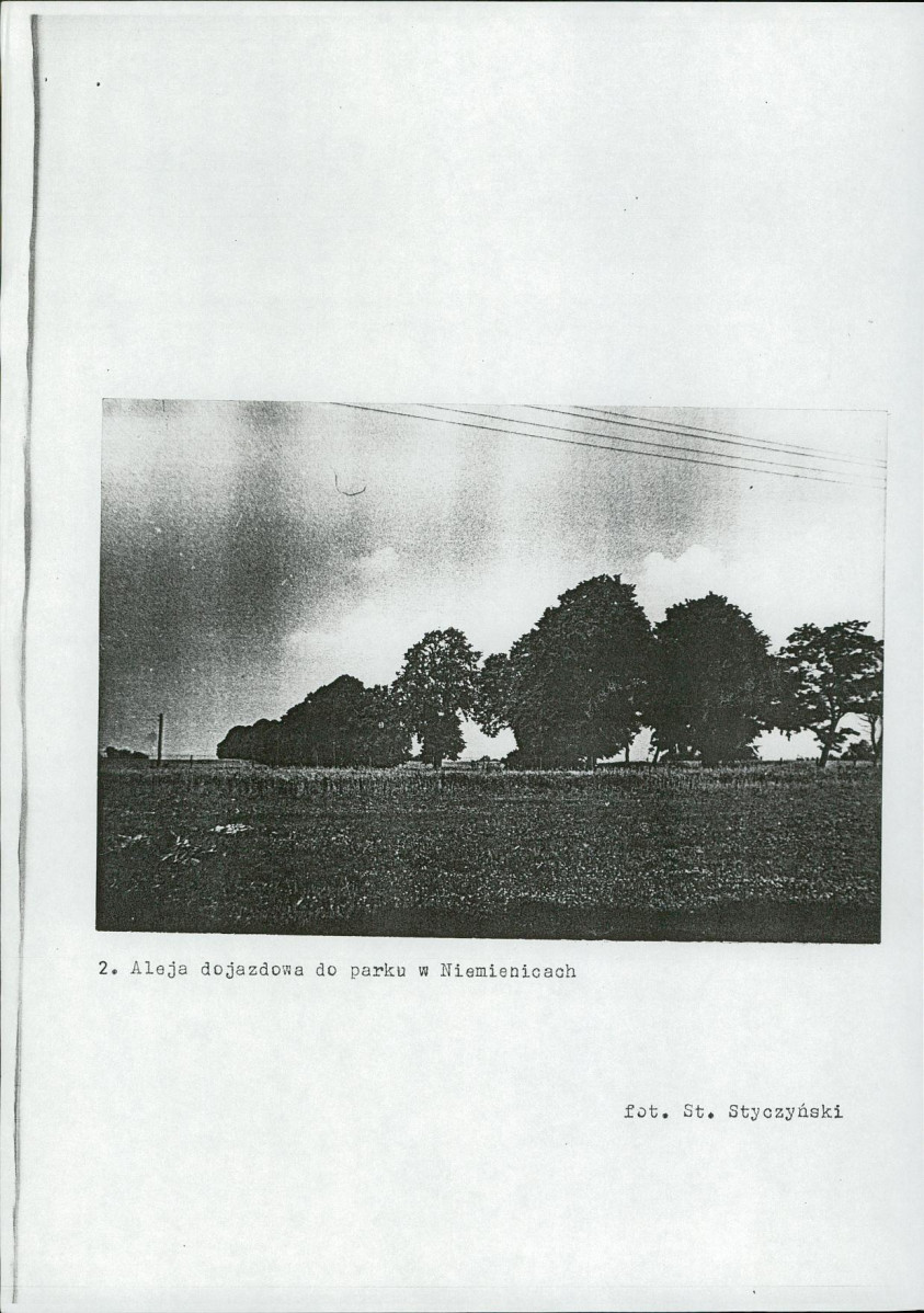 Ewidencja parkowa, skan nr 10