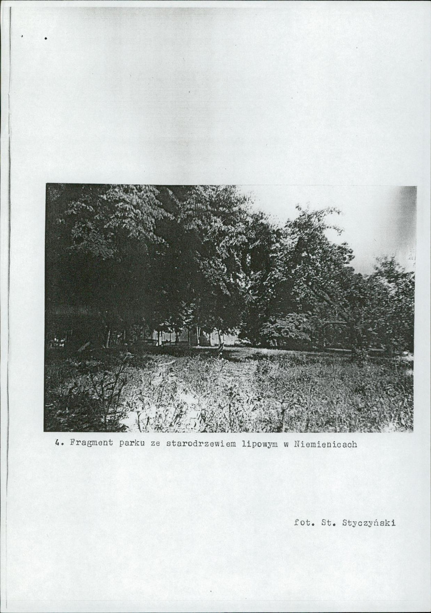Ewidencja parkowa, skan nr 12