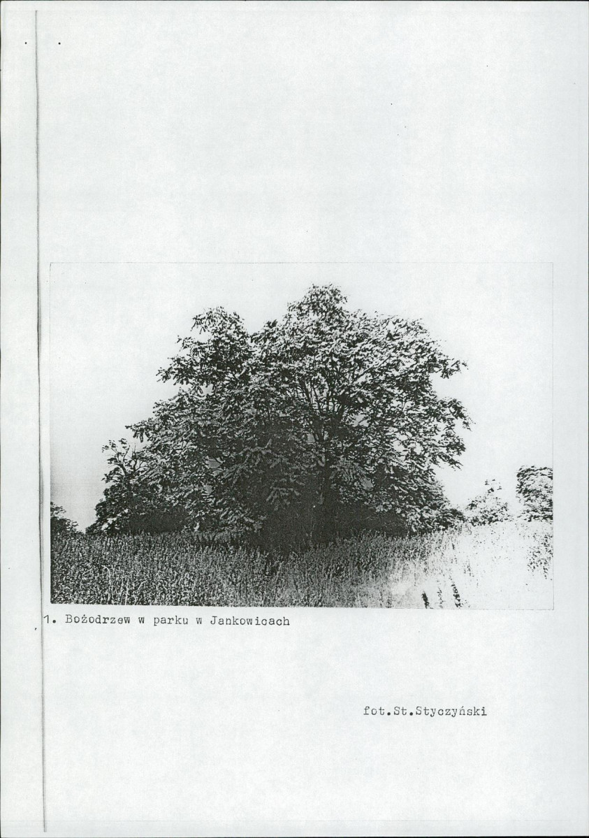 EP - Ewidencja parkowa, skan nr 7