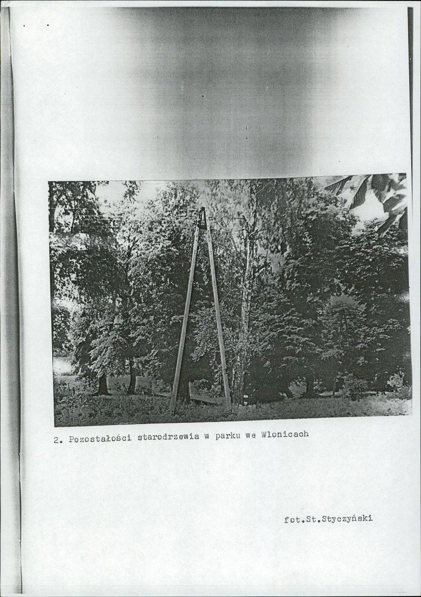 Ewidencja parkowa, skan nr 8