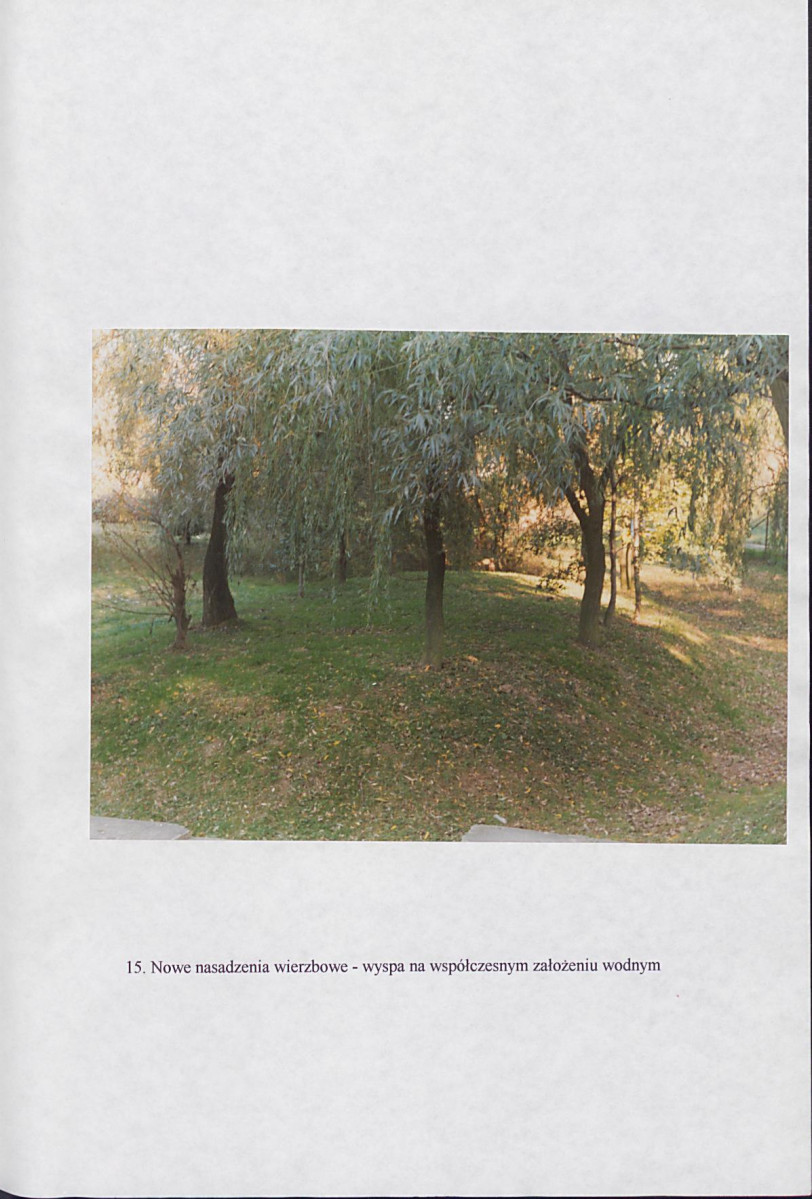 EP - Ewidencja parkowa, skan nr 48