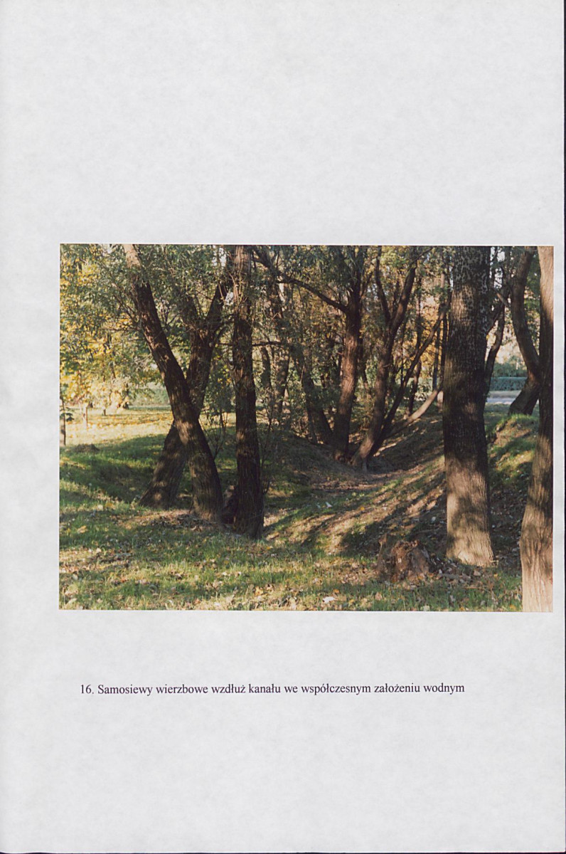EP - Ewidencja parkowa, skan nr 49