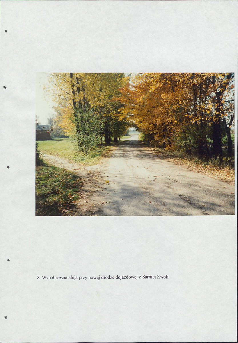 EP - Ewidencja parkowa, skan nr 41