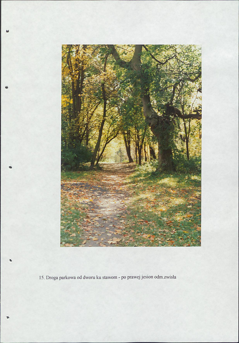 EP - Ewidencja parkowa, skan nr 48