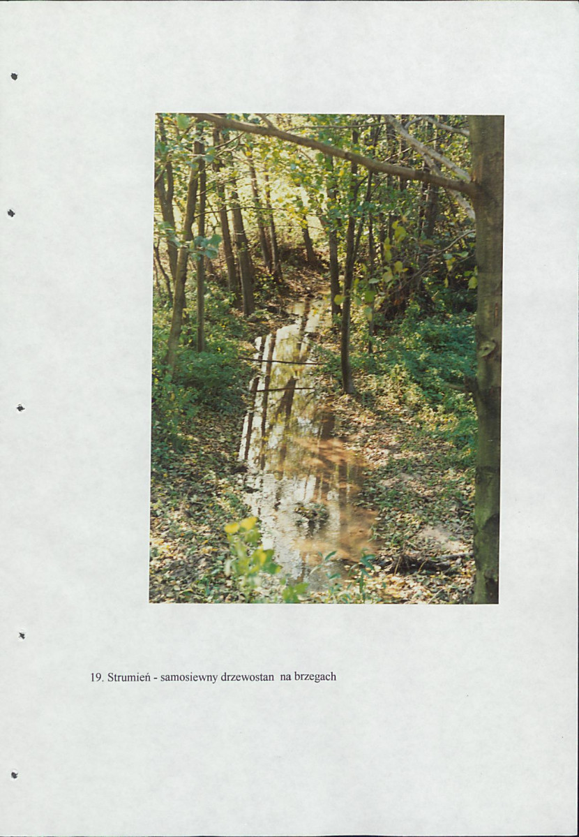 EP - Ewidencja parkowa, skan nr 52