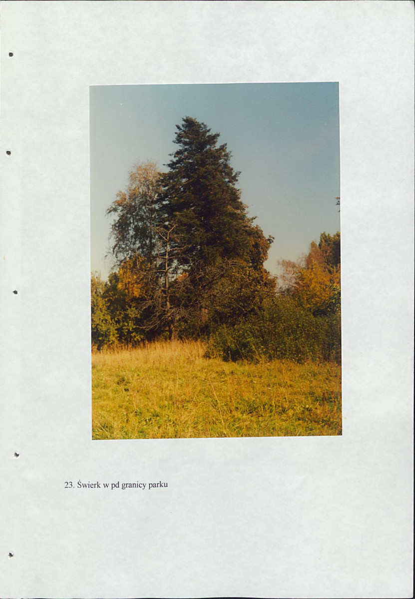 EP - Ewidencja parkowa, skan nr 56