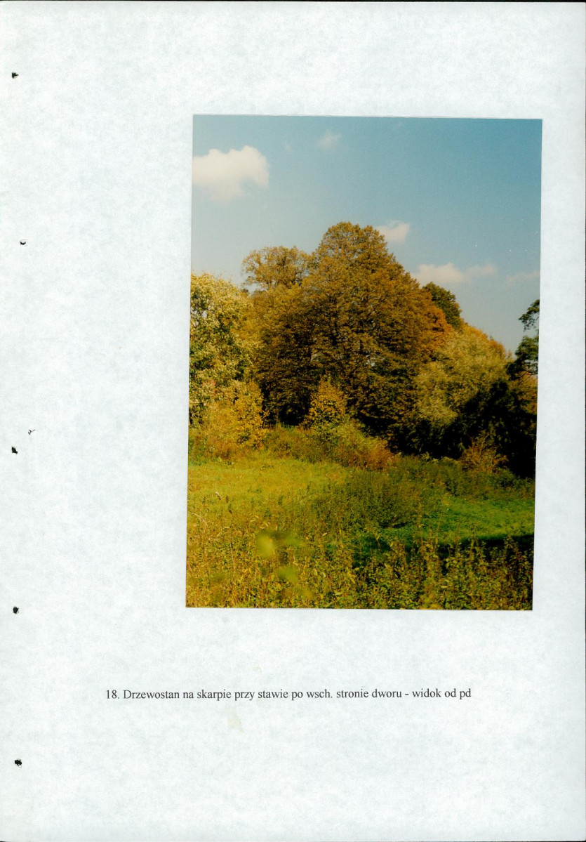 EP - Ewidencja parkowa, skan nr 48