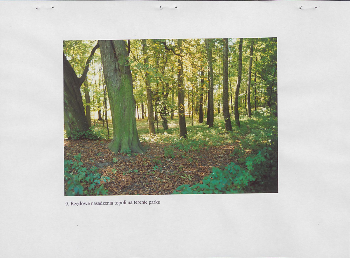 EP - Ewidencja parkowa, skan nr 32
