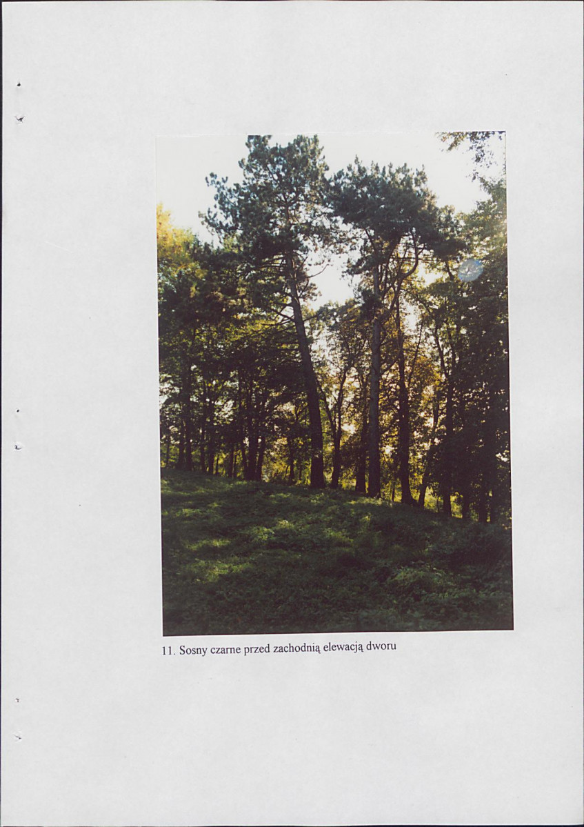 EP - Ewidencja parkowa, skan nr 34