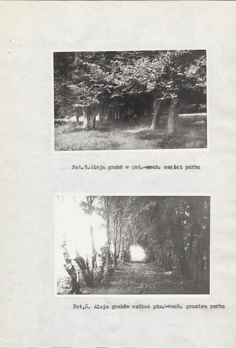 EP - Ewidencja parkowa, skan nr 20