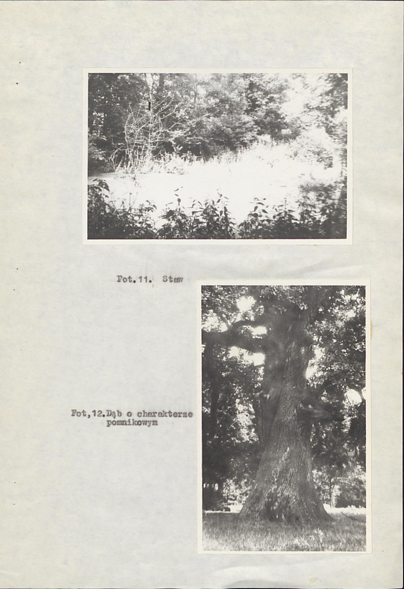 EP - Ewidencja parkowa, skan nr 23