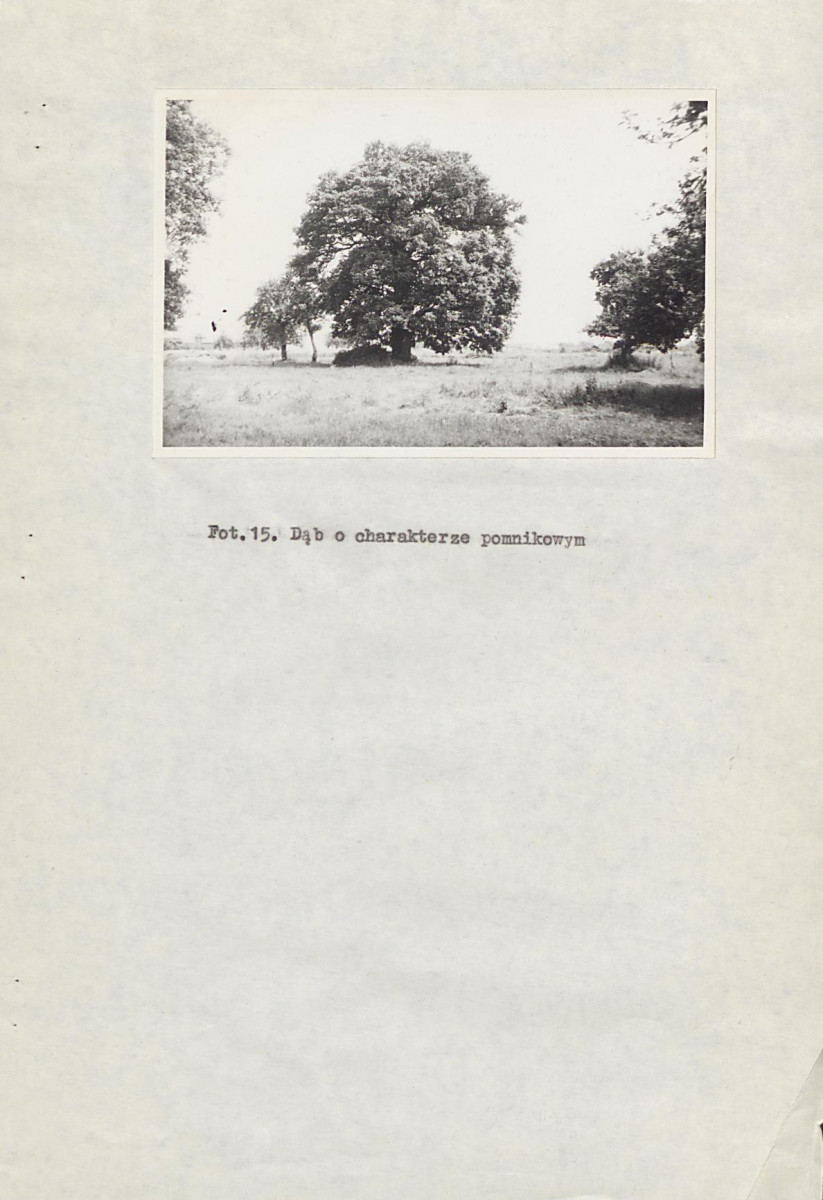 EP - Ewidencja parkowa, skan nr 25
