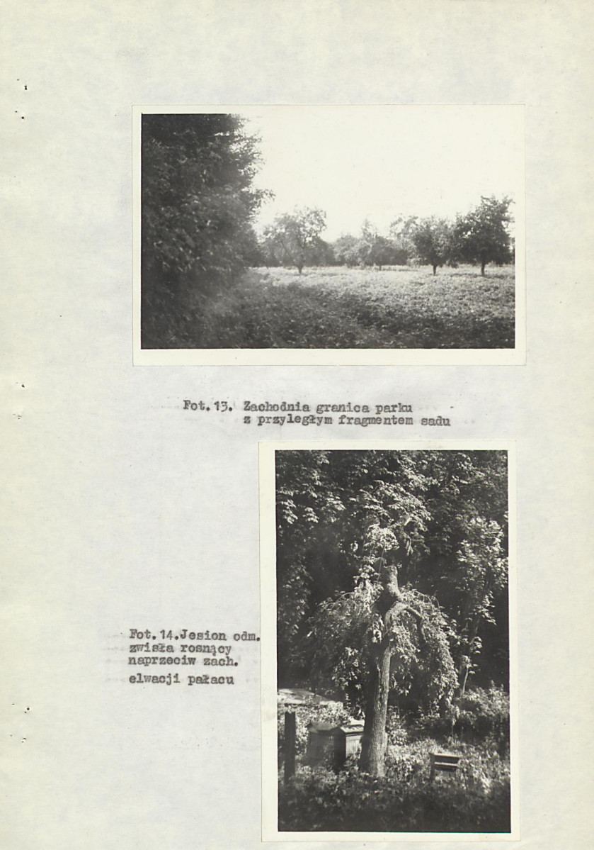 EP - Ewidencja parkowa, skan nr 28