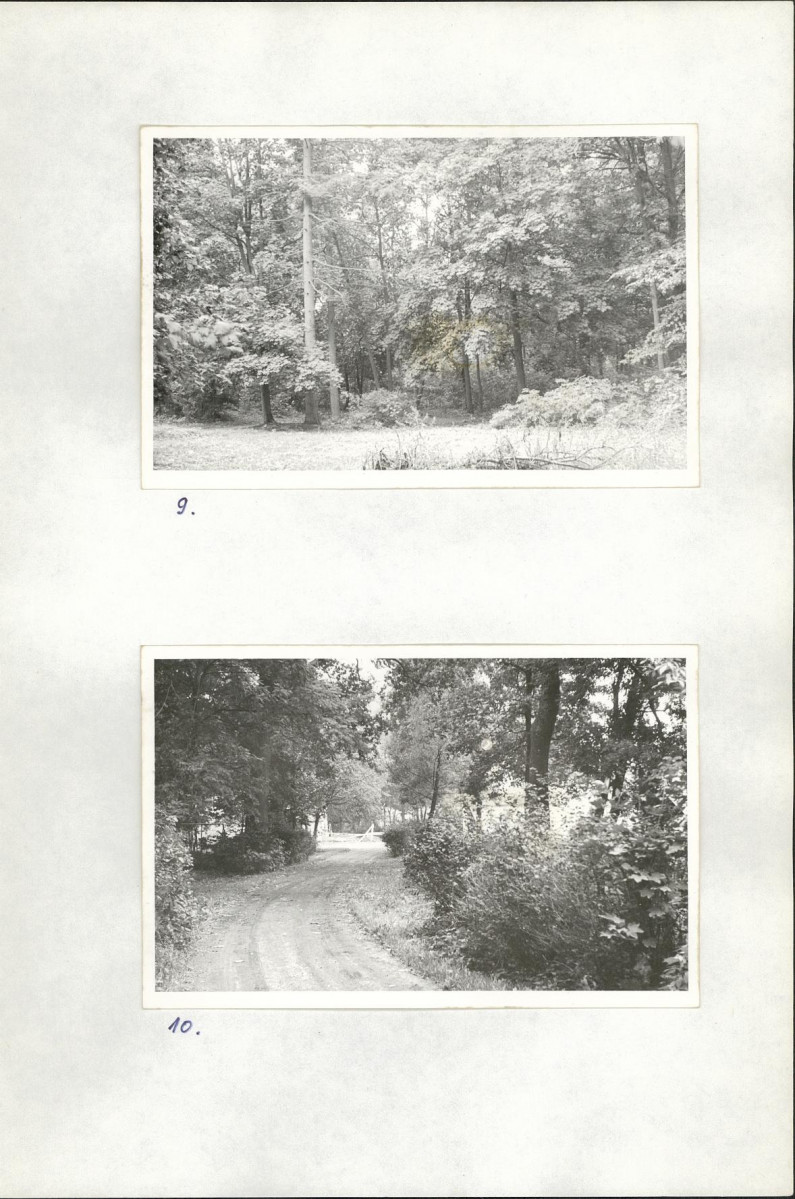 Ewidencja parkowa, skan nr 22