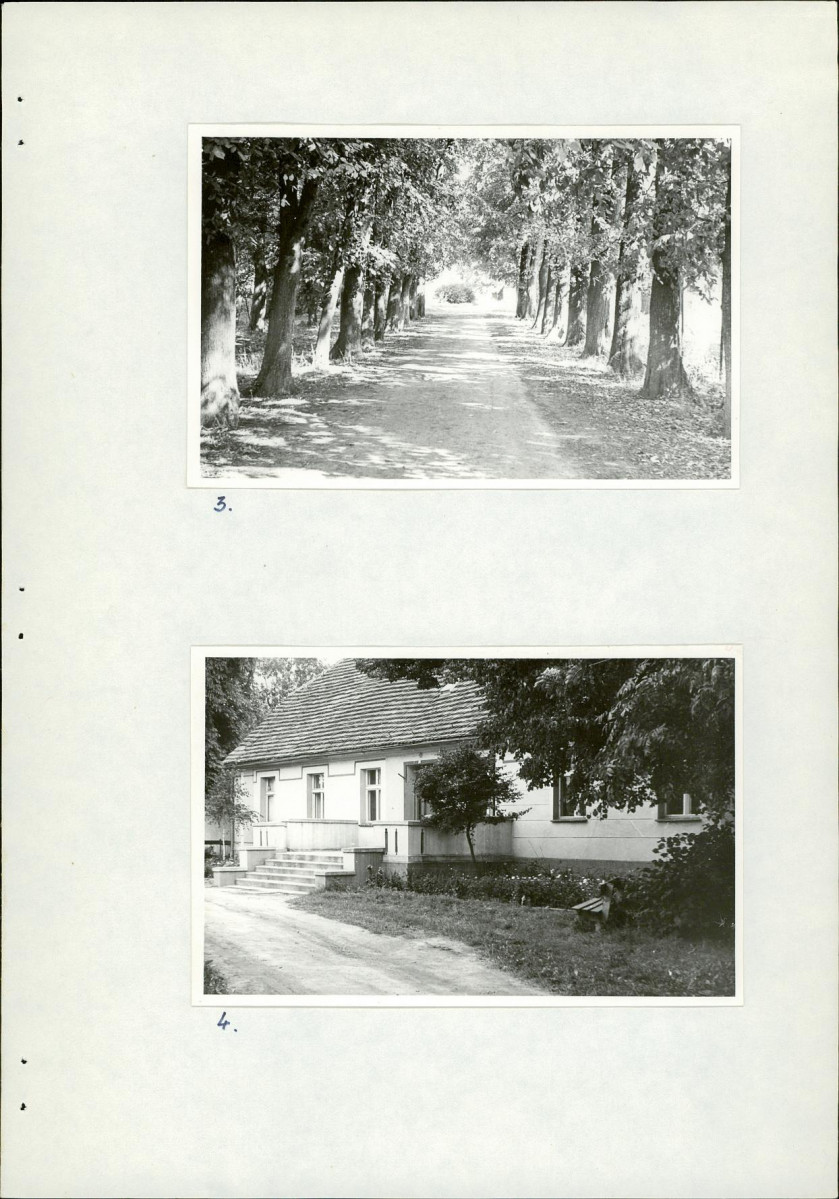 Ewidencja parkowa, skan nr 19