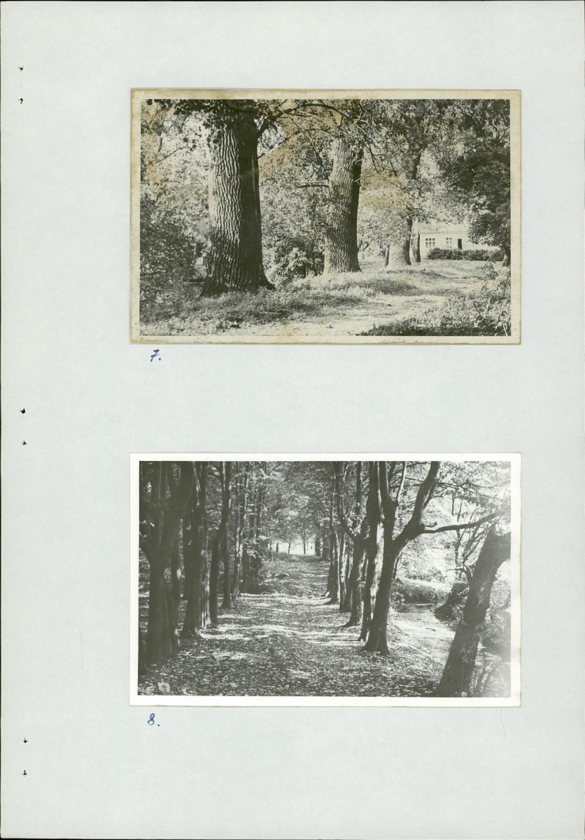 Ewidencja parkowa, skan nr 27