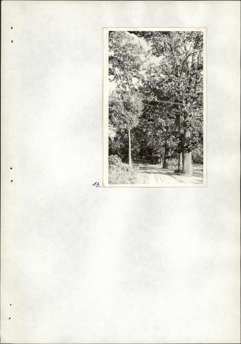 Ewidencja parkowa, skan nr 27