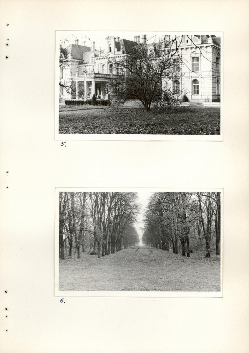 Ewidencja parkowa, skan nr 40