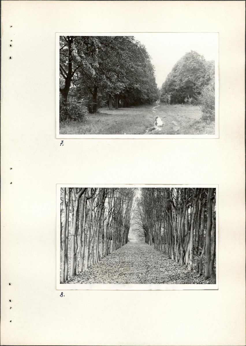 Ewidencja parkowa, skan nr 41
