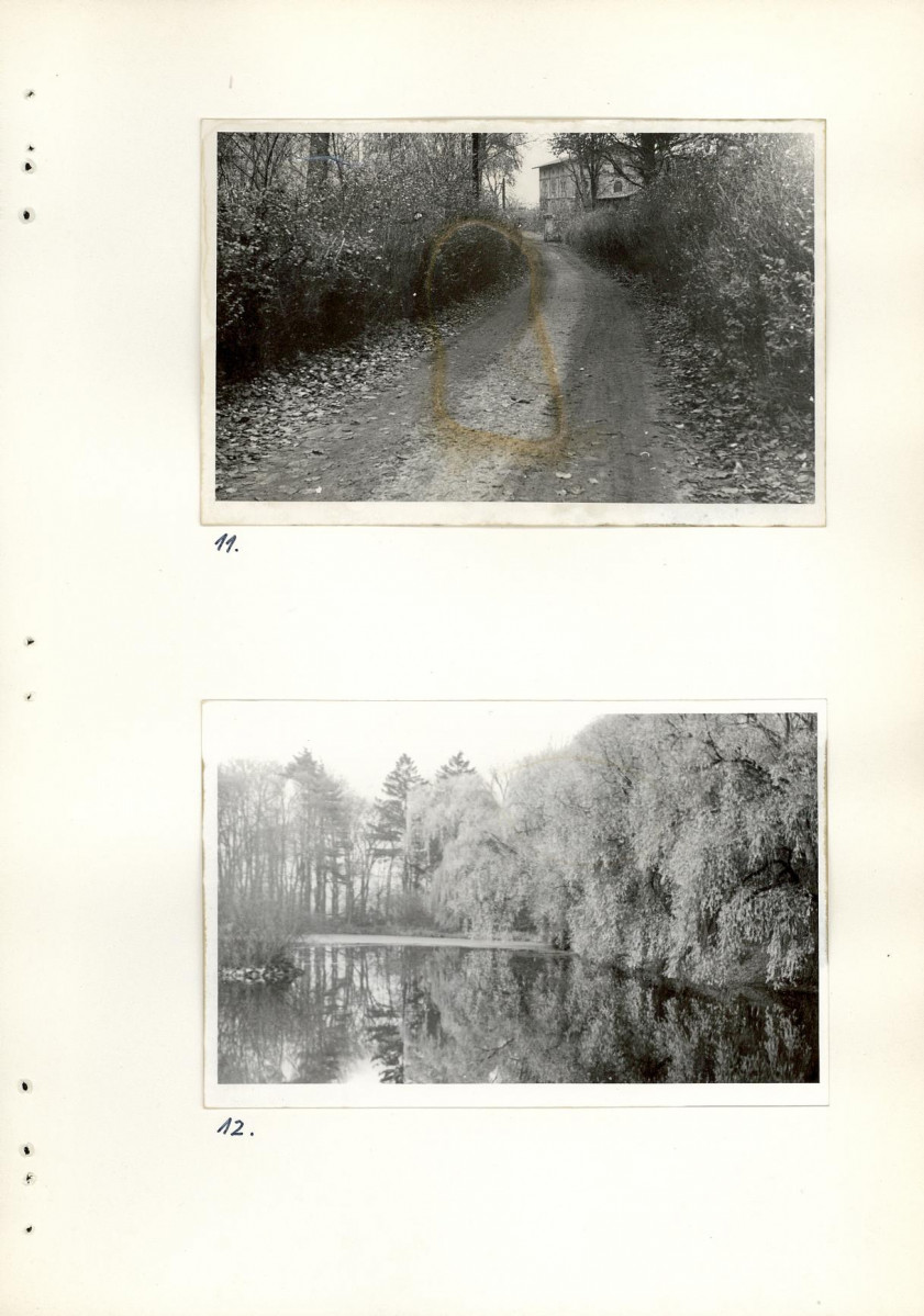 Ewidencja parkowa, skan nr 43