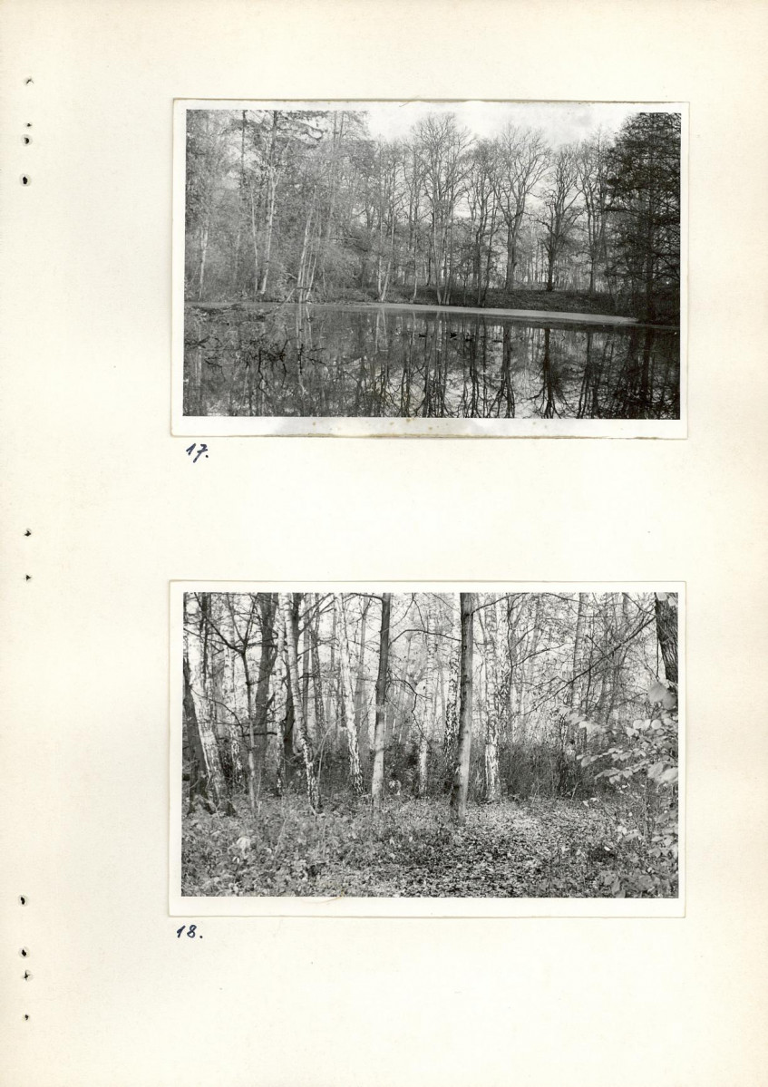Ewidencja parkowa, skan nr 46