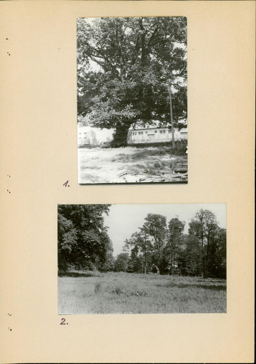 Ewidencja parkowa, skan nr 15