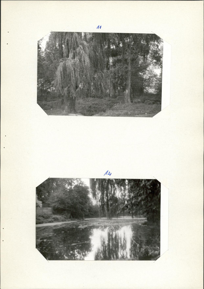 Ewidencja parkowa, skan nr 20