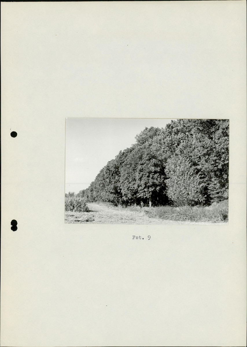 Ewidencja parkowa, skan nr 24