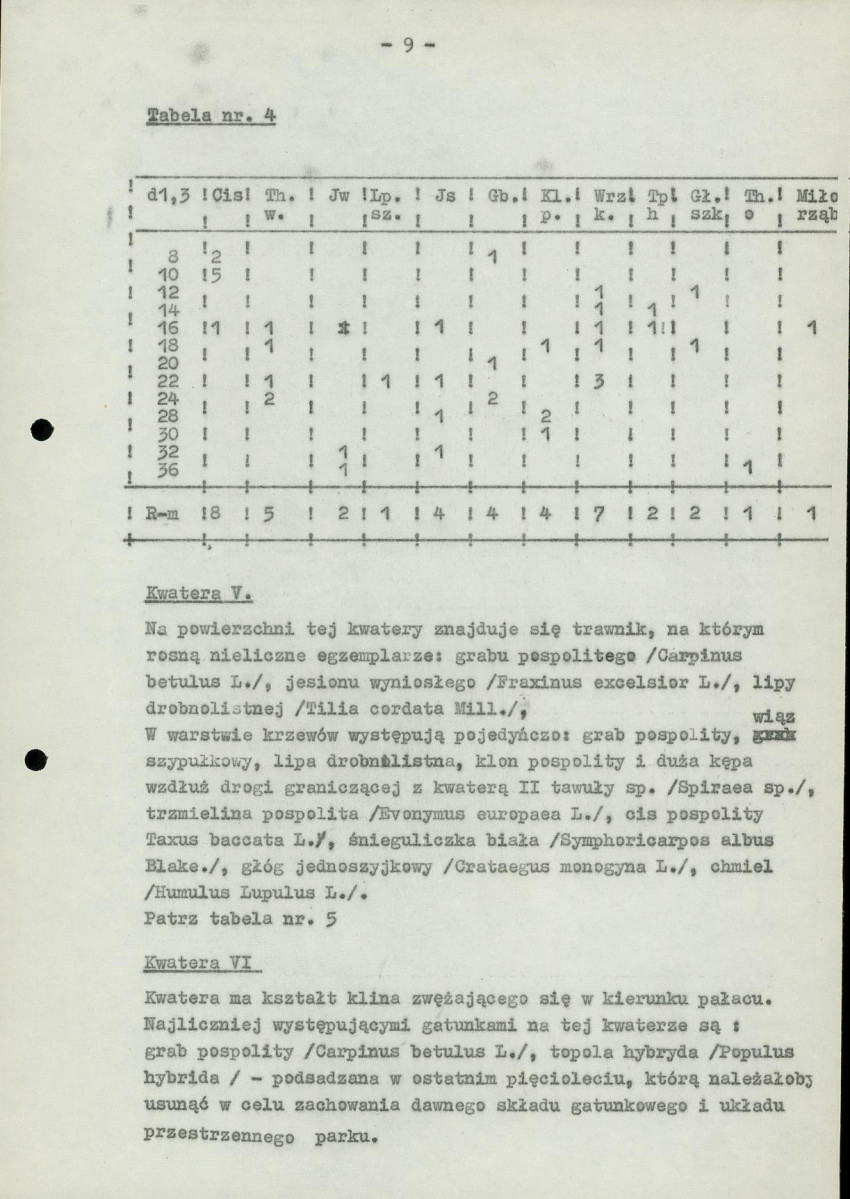 Ewidencja parkowa, skan nr 13