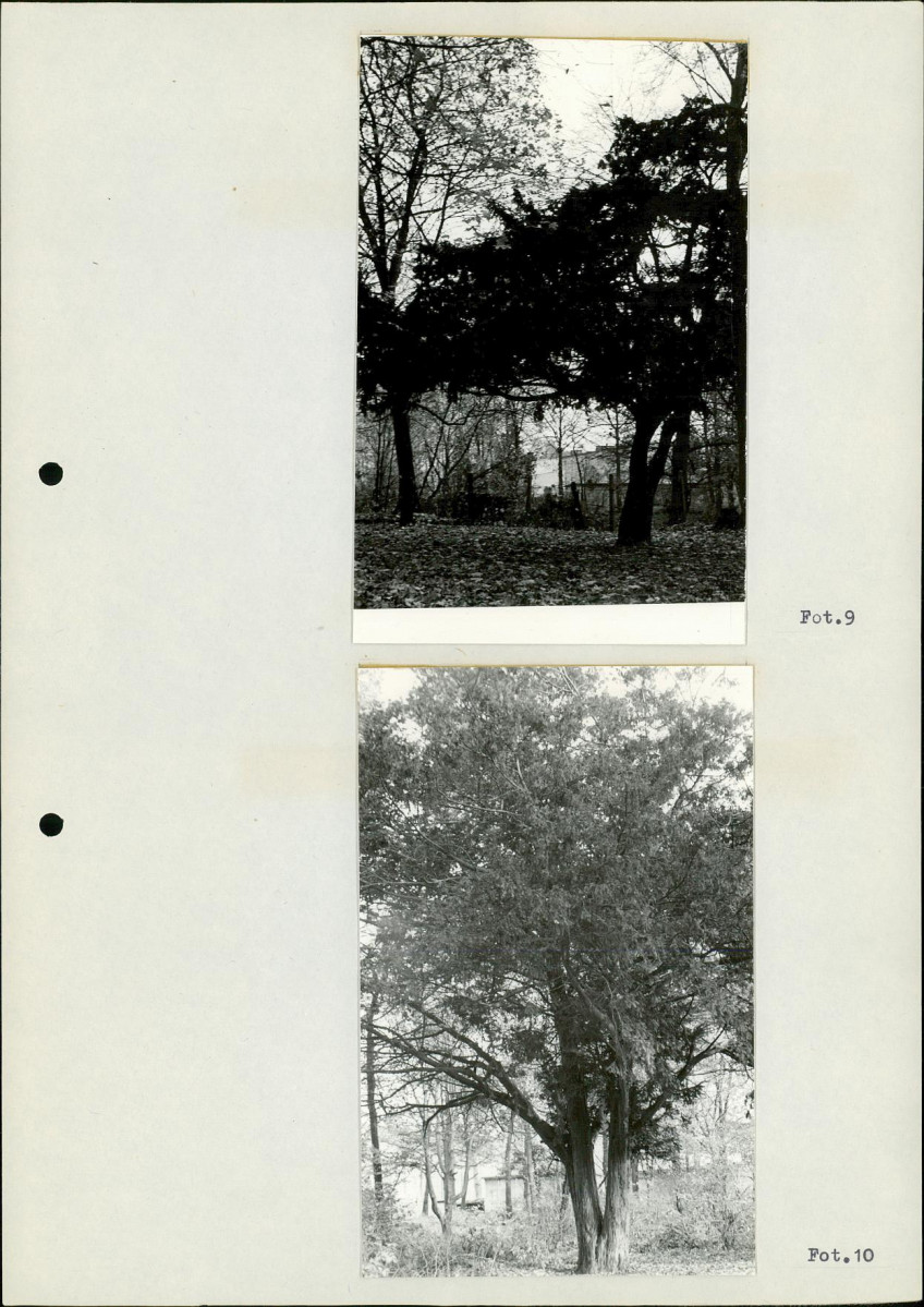 Ewidencja parkowa, skan nr 29