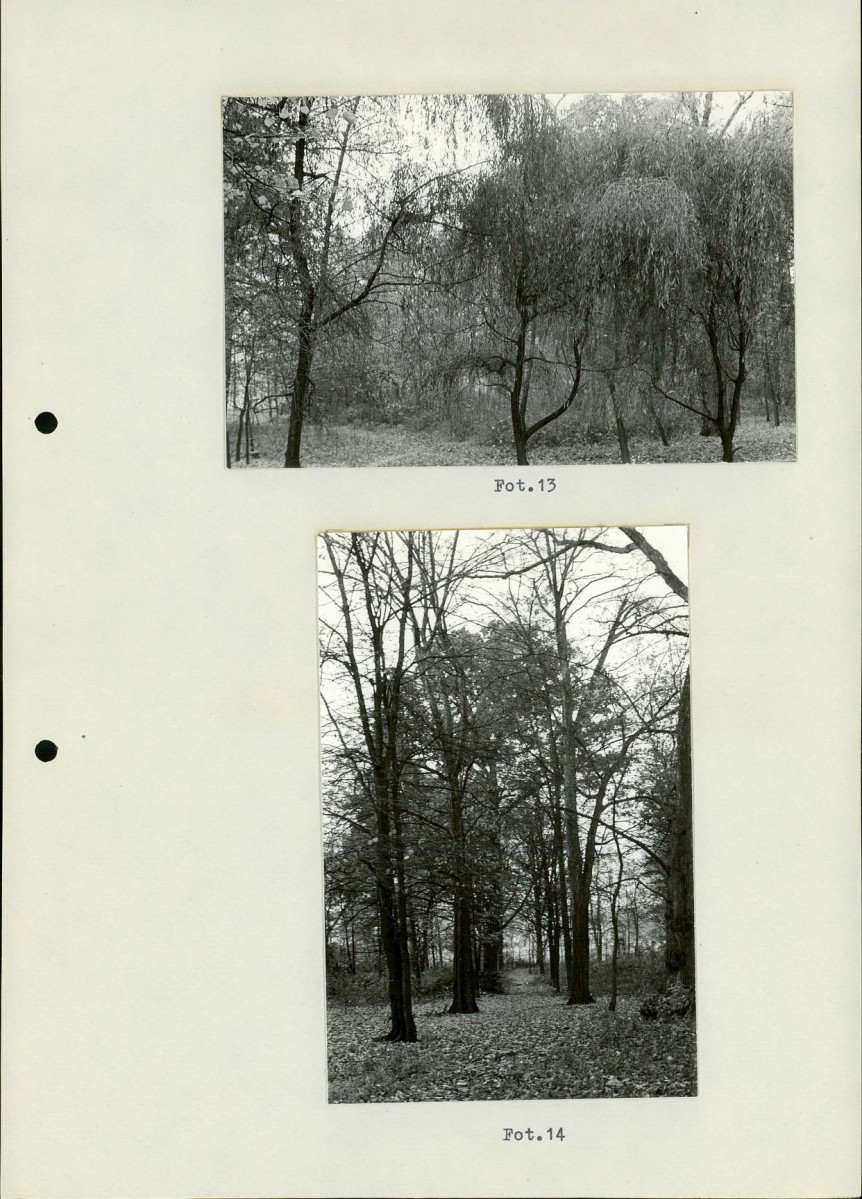 Ewidencja parkowa, skan nr 31