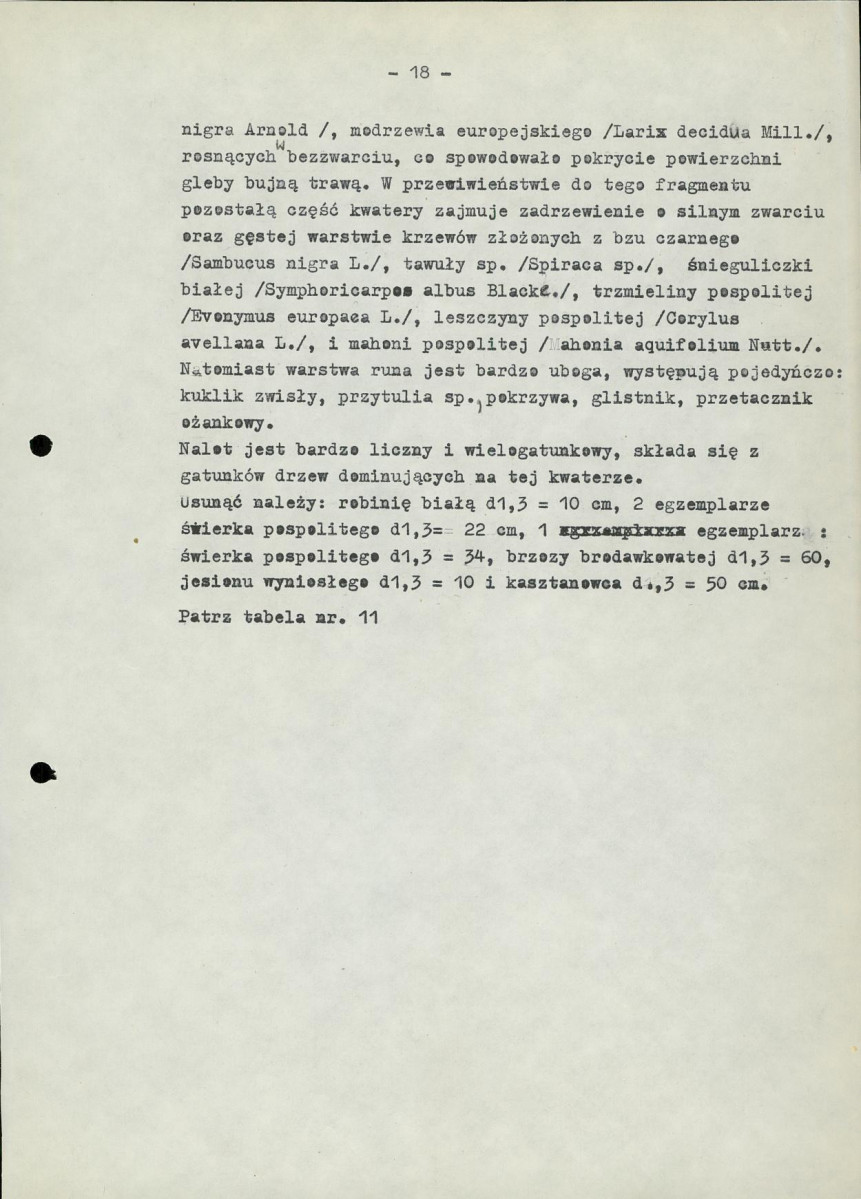EP - Ewidencja parkowa, skan nr 22