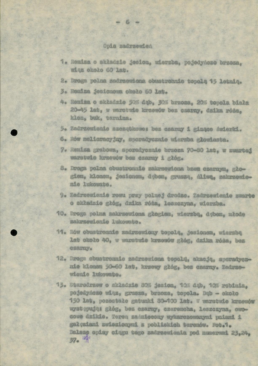 Ewidencja parkowa, skan nr 10