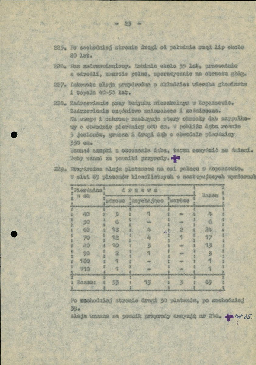 Ewidencja parkowa, skan nr 27